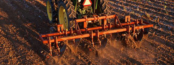 Agriculture